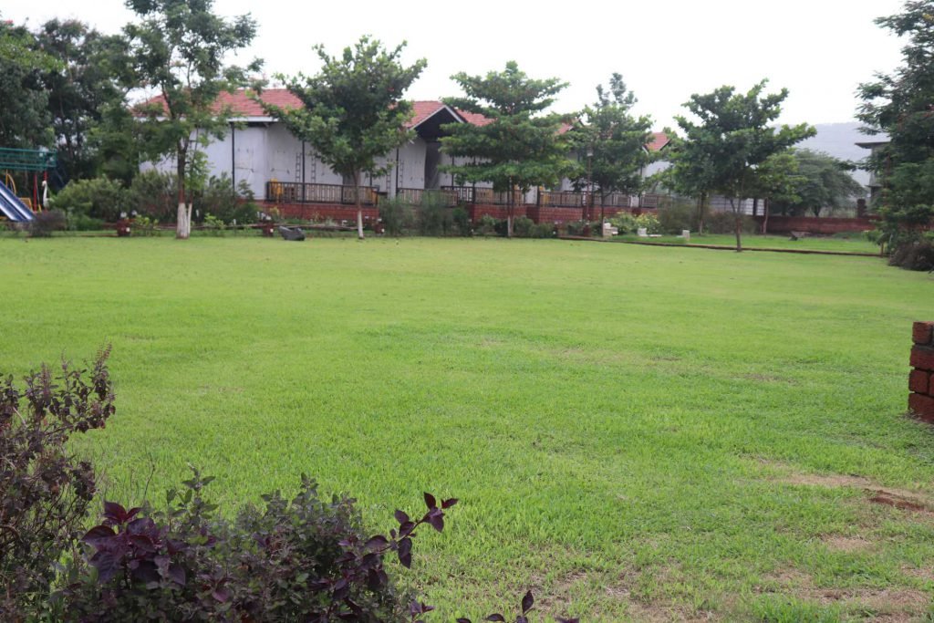 camps